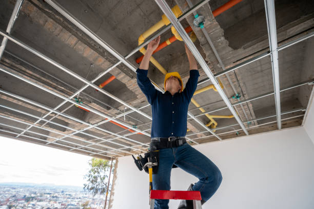 Best Affordable Plumbing Services  in Oronogo, MO